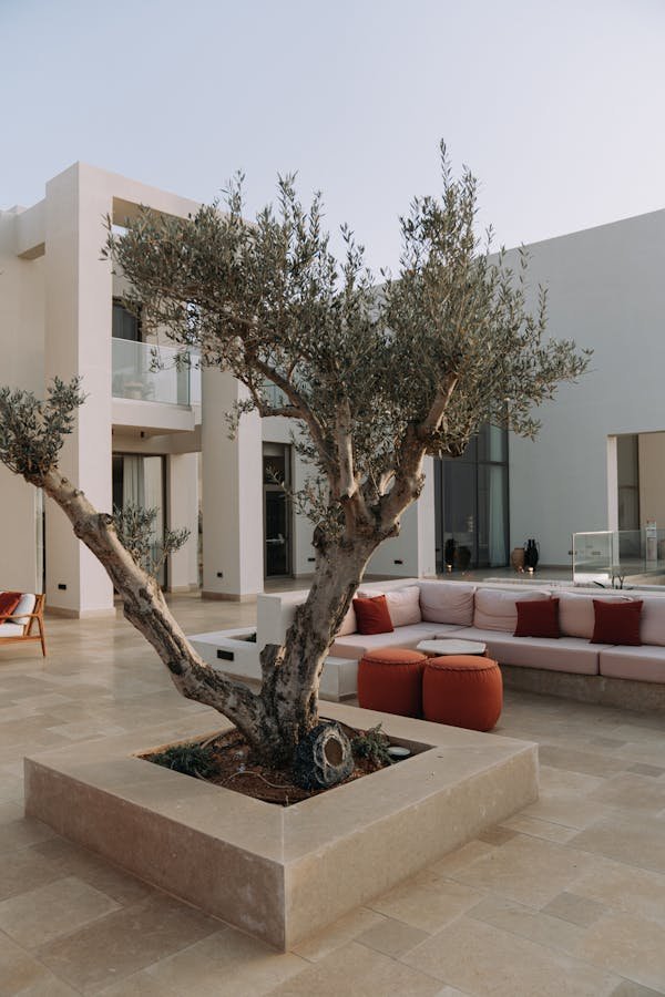 Idées pratiques pour un achat salon de jardin réussi